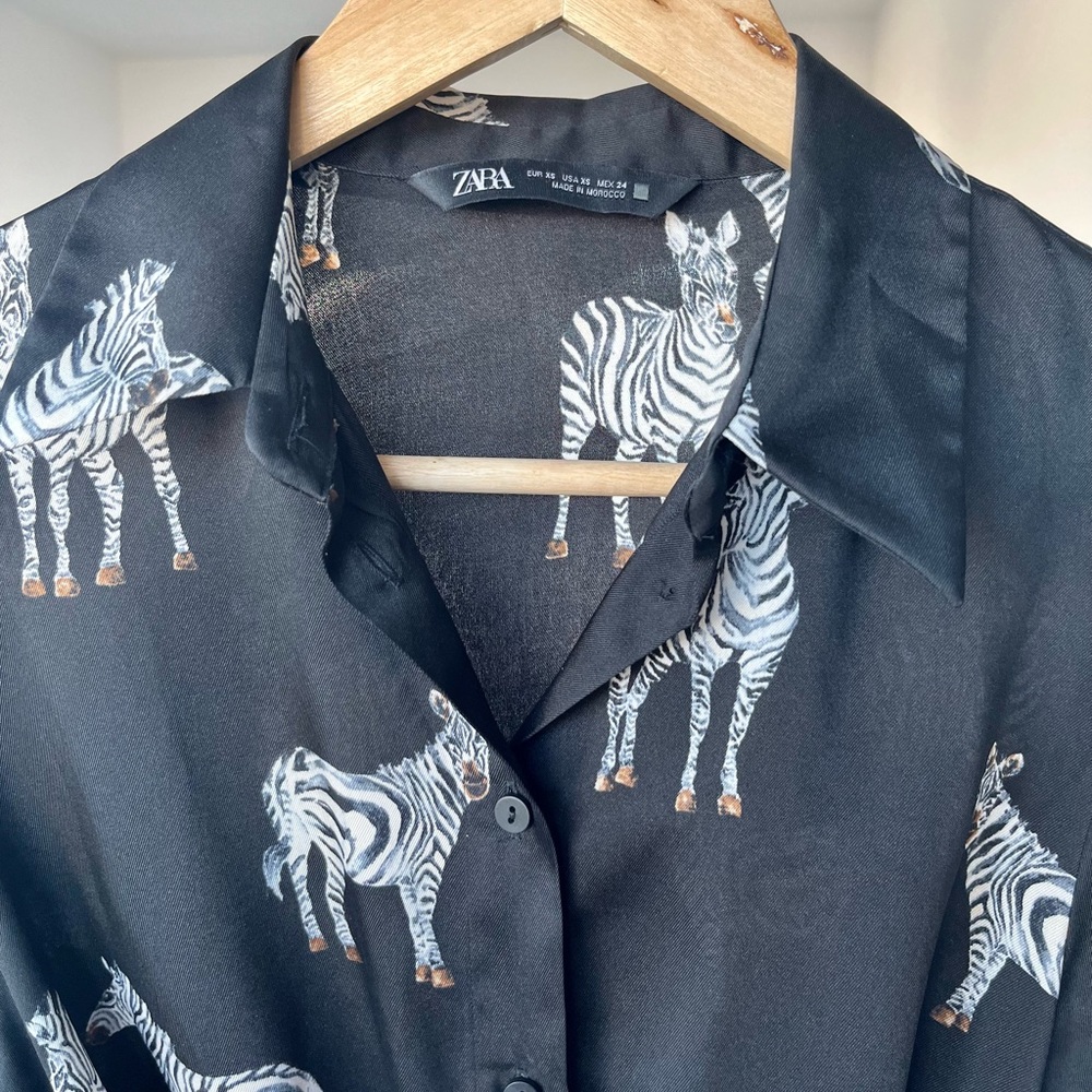 Zara ZEBRA Button Dress 🦓